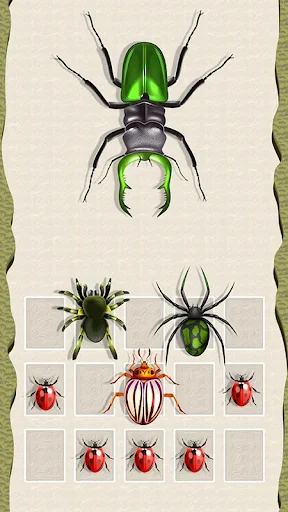 Ants Battle: Count & Merge app showing large green beetle with selection grid of spiders and red ants for merging gameplay