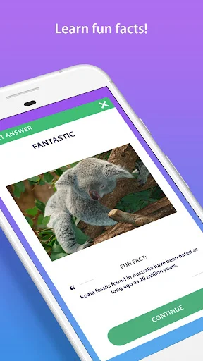 Result screen showing 'Fantastic' rating with koala image and fun fact with green Continue button for next quiz question