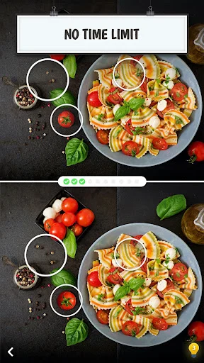 Find the Difference puzzle game with no time limit feature. Two food images showing colorful decorated salad with vegetables and fresh ingredients for relaxed gameplay.