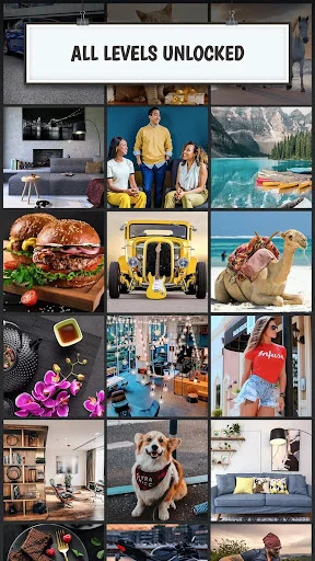 All levels unlocked screen displaying grid of diverse puzzle categories including people, food, vehicles, animals, and nature themes
