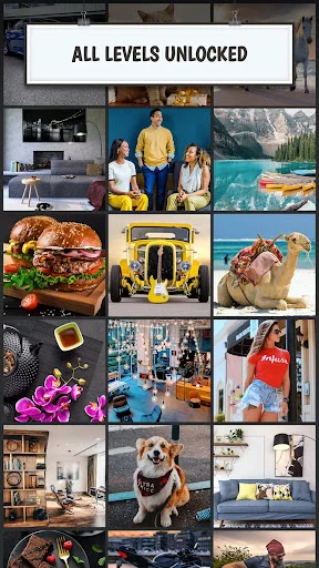 Find the Difference puzzle game showing all levels unlocked with grid display of diverse image categories including office, people, animals, food, nature, vehicles, and city scenes.